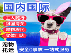 鄂伦春机场快运国际宠物托运 【国